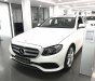 Mercedes-Benz E class E250 2018 - Bán Mercedes E250 giá tốt, khuyến mại trao tay giao ngay tức thì, Lh 0965075999