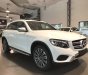 Mercedes-Benz GLC-Class 250 2018 - Bán Mercedes GLC250 New 2018, full màu, giá tốt giao ngay ưu đãi hấp dẫn - LH 0965075999