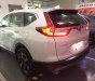 Honda CR V  1.5E 2019 - Bán Honda CR V đời 2019, màu trắng, xe nhập, xe mới 100%