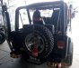 Jeep Wrangler 1996 - Cần bán gấp Jeep Wrangler sản xuất năm 1996, hai màu, xe nhập chính chủ