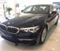 BMW 5 Series 520i 2019 - Cần bán BMW 5 Series 520i đời 2019, màu xanh lam, xe nhập