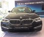 BMW 5 Series 530i 2019 - Bán ô tô BMW 5 Series 530i năm 2019, màu đen, xe nhập