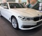 BMW 5 Series 530i 2019 - Cần bán xe BMW 5 Series 530i đời 2019, màu trắng, nhập khẩu nguyên chiếc