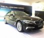 BMW 5 Series 530i 2019 - Bán ô tô BMW 5 Series 530i năm 2019, màu đen, xe nhập