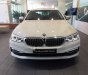 BMW 5 Series 530i 2019 - Cần bán xe BMW 5 Series 530i đời 2019, màu trắng, nhập khẩu nguyên chiếc