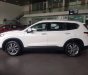 Hyundai Santa Fe 2019 - " Gấp" Bán Hyundai Santafe 2019- Giao xe trước tết, gọi 0938875600 chốt giá ngay