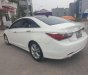 Hyundai Sonata   Y20   2010 - Cần bán lại xe Hyundai Sonata Y20 sản xuất 2010, màu trắng, xe nhập 