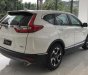 Honda CR V 1.5 LE Turbo 2019 - Bán Honda CRV 1.5 LE Turbo full option nhập Thái Lan, màu đỏ, giao xe nhanh gọn. Hỗ trợ trả góp 80% TP. HCM