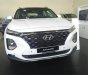 Hyundai Santa Fe 2019 - Sự chờ đợi của năm: Hyundai Santa Fe 2019 bản máy dầu 2.2 đặc biệt