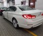 BMW 5 Series 530i 2019 - Bán BMW 5 Series 530i sản xuất năm 2019, màu trắng, xe nhập