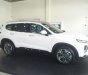 Hyundai Santa Fe 2019 - Sự chờ đợi của năm: Hyundai Santa Fe 2019 bản máy dầu 2.2 đặc biệt