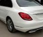 Mercedes-Benz C class C200 2018 - Bán Mercedes C200 giá tốt, đủ màu, trả góp từ 18tr/tháng