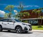 Peugeot 3008 2019 - Peugeot Bình Dương-Bình Phước-Đắk Nông - Giá cực tốt - ưu đãi cực khủng 1,199 tỷ
