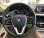 BMW 5 Series 520i 2019 - Bán ô tô BMW 5 Series 520i năm 2019, màu xanh lam, nhập khẩu