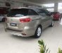 Kia Sedona 2019 - Sedona số 1 phân khúc, giá cực ưu đãi. LH 0938 900 149