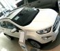 Ford EcoSport Titanium 1.5L 2019 - Bán Ford EcoSport Titanium 1.5L đời 2019, màu trắng, giá sốc cuối năm