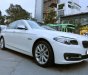 BMW 5 Series 520i 2016 - Bán BMW 5 Series 520i SX 2016, đi 22000km, còn rất mới