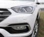 Hyundai Santa Fe 2017 - Cần bán gấp Hyundai Santa Fe năm 2017, màu trắng