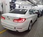 BMW 5 Series 530i 2019 - Bán BMW 5 Series 530i sản xuất năm 2019, màu trắng, xe nhập