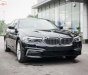 BMW 5 Series 530i 2019 - Bán xe BMW 5 Series 530i sản xuất 2019, màu đen, nhập khẩu Đức