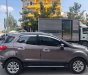 Ford EcoSport Titanium 2016 - Bán Ford EcoSport Titanium sản xuất năm 2016, màu xám (ghi), 535 triệu