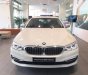 BMW 5 Series 530i Luxury Line 2018 - Bán ô tô BMW 5 Series 530i Luxury Line năm sản xuất 2018, màu trắng, xe mới 100%