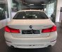 BMW 5 Series 530i Luxury Line 2018 - Bán ô tô BMW 5 Series 530i Luxury Line năm sản xuất 2018, màu trắng, xe mới 100%