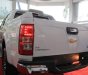 Chevrolet Colorado 2019 - Bán Chevrolet Colorado năm sản xuất 2019, xe nhập, 624tr