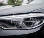 BMW 5 Series 530i 2019 - Bán xe BMW 5 Series 530i sản xuất 2019, màu đen, nhập khẩu Đức