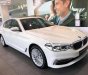 BMW 5 Series 530i Luxury Line 2018 - Bán ô tô BMW 5 Series 530i Luxury Line năm sản xuất 2018, màu trắng, xe mới 100%