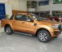 Ford Ranger Wildtrak 2.0L 4x4 AT 2019 - Bán Ford Ranger Wildtrak 2.0L 4x4 AT 2019, nhập khẩu, mới 100%