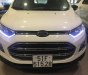 Ford EcoSport Titanium 2015 - Bán Ford EcoSport Titanium đời 2015, màu trắng