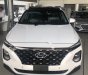 Hyundai Santa Fe 2.2L HTRAC 2019 - Bán Hyundai Santa Fe 2019, lột xác hoàn toàn mới của mẫu xe Châu Âu giờ đã có mặt tại Việt Nam