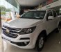 Chevrolet Colorado 2018 - Cần bán gấp Chevrolet Colorado đời 2018, màu trắng, nhập khẩu nguyên chiếc