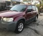 Ford Escape XLT 2003 - Bán Ford Escape 2003 tự động XLT, bản full, ghế da zin theo xe