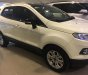 Ford EcoSport Titanium  2015 - Bán Ecosport Titanium cuối 2015, xe 1 đời chủ biển SG, odo 46.000km