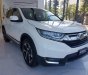 Honda CR V L 2019 - Bán xe Honda CR V năm sản xuất 2019, màu trắng, xe nhập