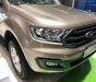 Ford Everest  Titanium 4x2   2018 - Bán Ford Everest Titanium 4x2 năm sản xuất 2018, màu vàng, nhập khẩu