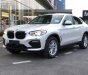 BMW X4 xDrive20i 2019 - Cần bán BMW X4 xDrive20i năm 2019, màu trắng, nhập khẩu, xe hoàn toàn mới