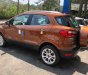 Ford EcoSport   Ambient 1.5 MT 2018 - Cần bán Ford EcoSport đời 2018, màu nâu