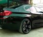 BMW 5 Series 528 2011 - Bán xe BMW 5 Series 528 năm 2011, màu đen xe nhập, 999 triệu