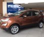 Ford EcoSport   Ambient 1.5 MT 2018 - Cần bán Ford EcoSport đời 2018, màu nâu