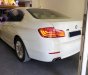 BMW 5 Series 520i  2014 - Bán xe BMW 520i SX 2014, đi 12000km. Xe chính chủ