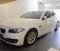 BMW 5 Series 520i  2014 - Bán xe BMW 520i SX 2014, đi 12000km. Xe chính chủ