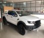 Ford Ranger   Raptor 2019 - Cần bán Ford Ranger Raptor đời 2019, màu đen, nhập khẩu nguyên chiếc