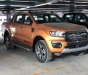 Ford Ranger   Wildtrak  2019 - Bán Ford Ranger Wildtrak năm 2019, xe nhập giá cạnh tranh