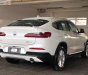 BMW X4 xDrive20i 2019 - Cần bán BMW X4 xDrive20i năm 2019, màu trắng, nhập khẩu, xe hoàn toàn mới