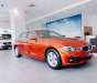 BMW 3 Series  320i  2018 - Bán BMW 3 Series 320i đời 2018, màu đỏ, xe nhập, giá tốt