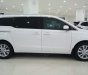 Kia Sedona   Platinum D 2019 - Cần bán Kia Sedona Platinum D 2019, màu trắng