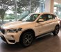 BMW X1 2018 - Cần bán xe BMW X1 sản xuất 2018, màu trắng, nhập khẩu nguyên chiếc